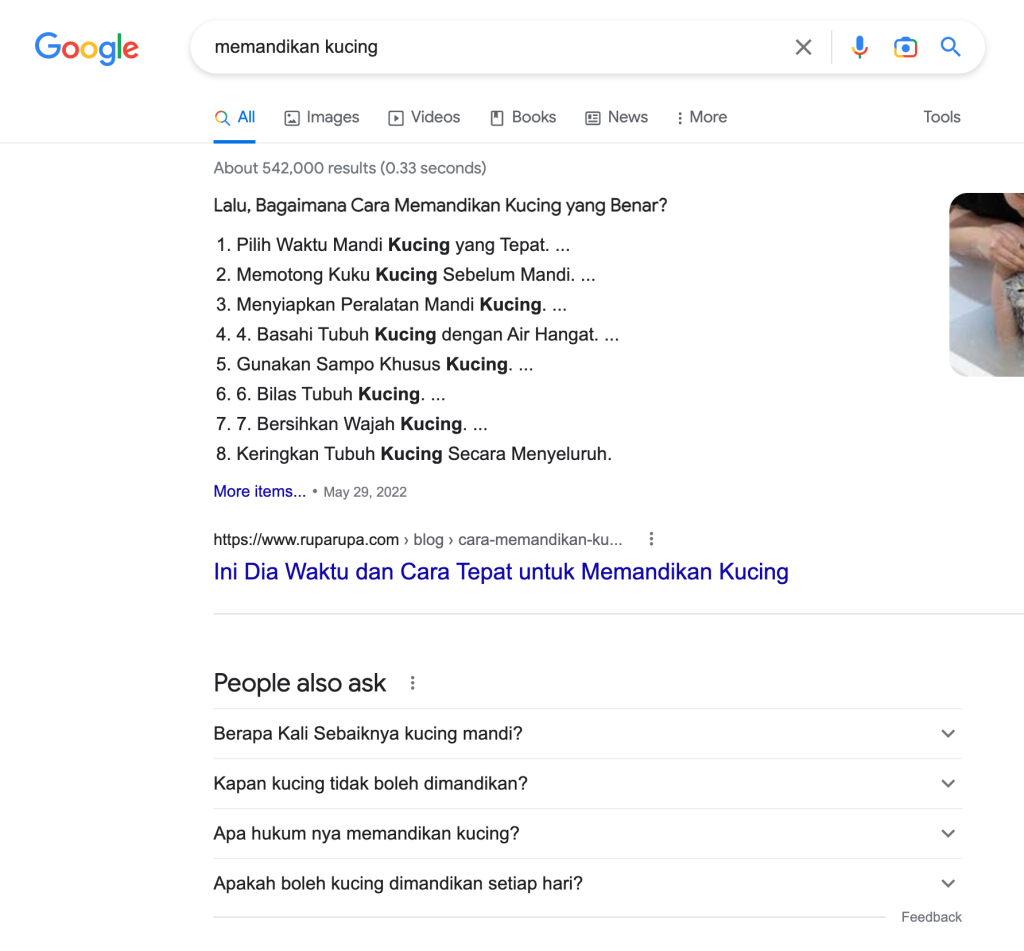 SERP dari kata kunci "memandikan kucing" yang menampilkan People also ask (orang juga bertanya)
