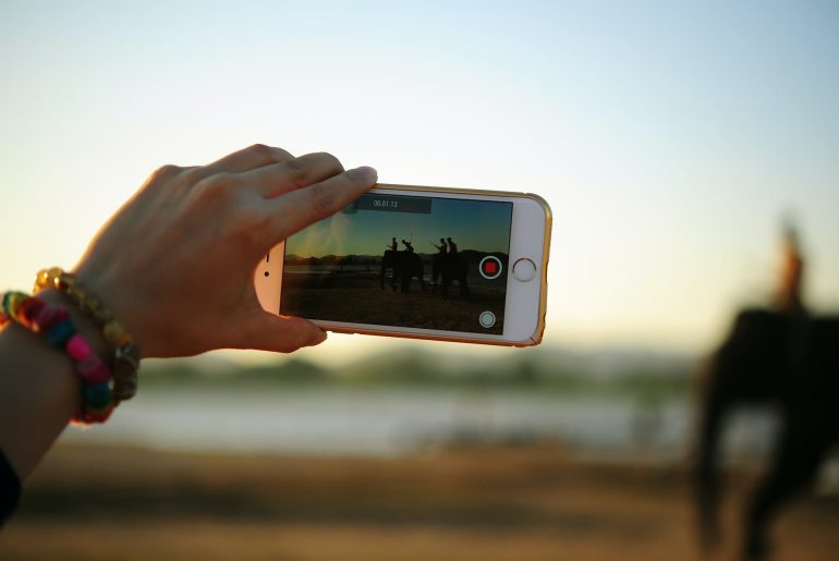 person taking photo of elephants