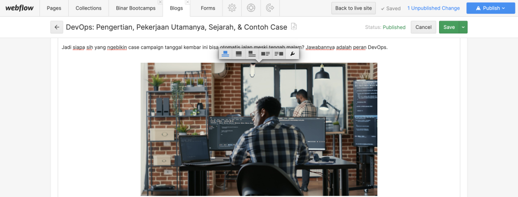 cara menambahkan alt text di CMS Webflow