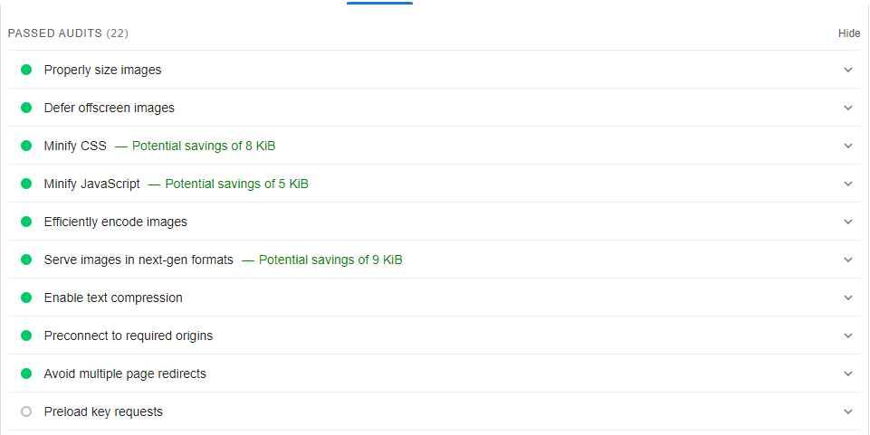 passed audits pagespeed insight