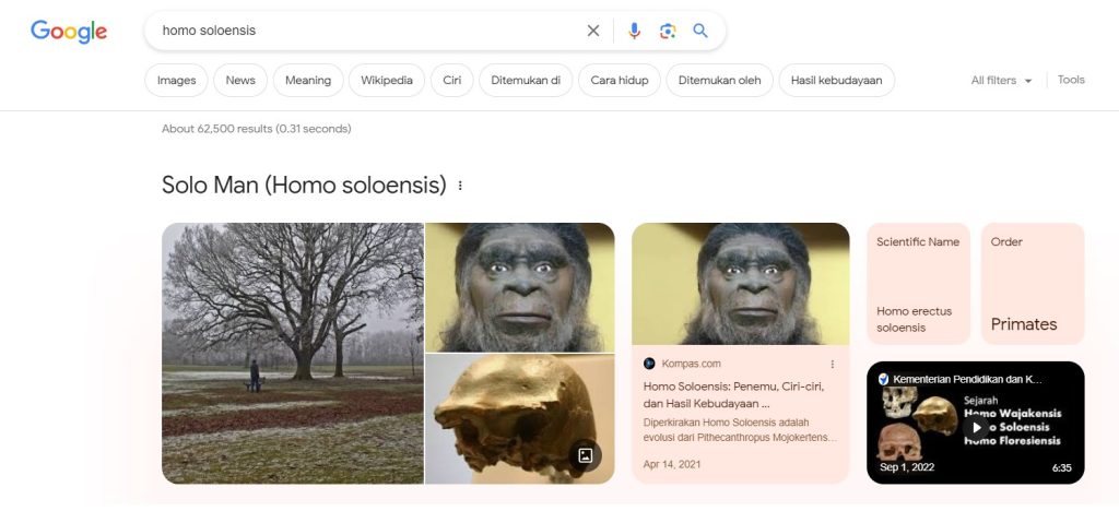 Screenshot pencarian Google dengan kata kunci homo soloensis.