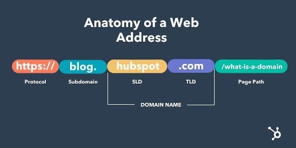 anatomi alamat website
