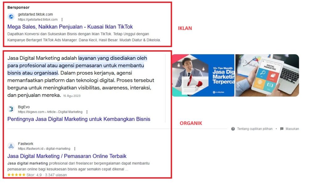 Search Organic