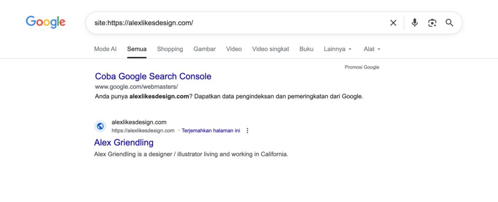Cara mengecek status indexing dengan site:namadomain di Google