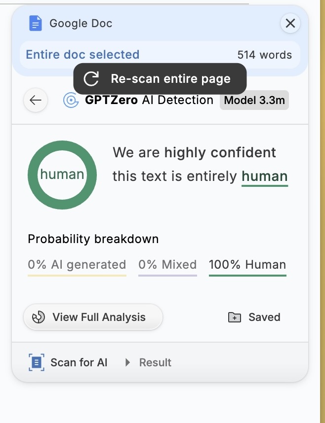 GPT Zero add on tools AI detektor