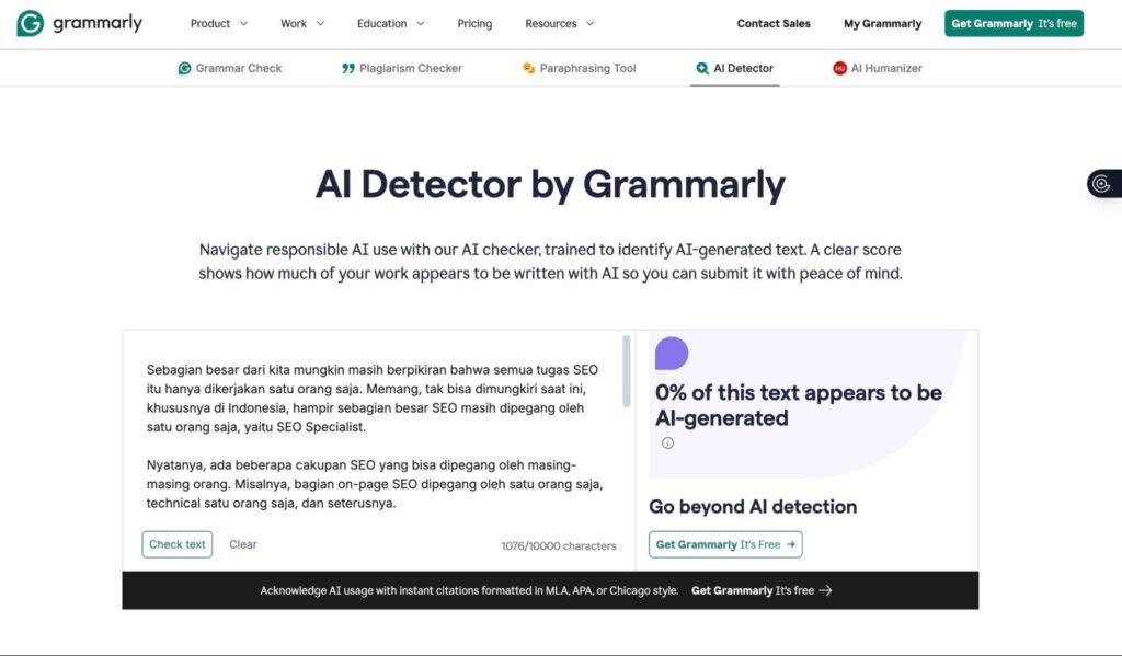 tools deteksi AI Grammarly
