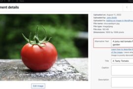 alt image di wordpress