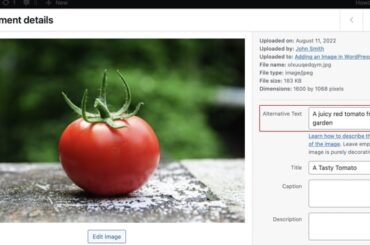 alt image di wordpress